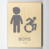 Boys Handicap Accessible Restroom Modified ISAgrey